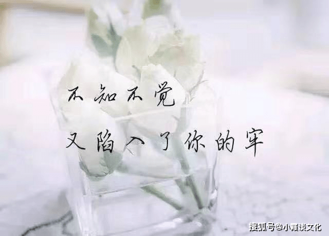 23d52e468cde46bfada2922d9a67825f.png