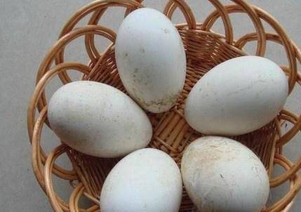 孕妇吃鹅蛋怎么吃最好
