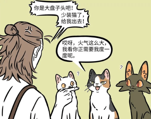 图片[2]-非人哉：大士变成猫混进杨戬的咖啡馆！为何一眼就被看穿本体？-魔性次元