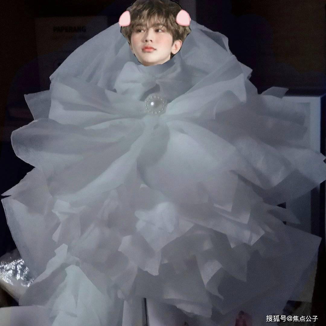 网友|人均高级设计师？蔡徐坤粉丝用纸巾做婚纱，追星也要内卷了吗？