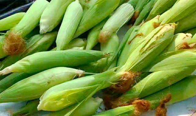 做法|煮玉米,用清水是“外行”,多加这2种调料,玉米个个香甜又软糯