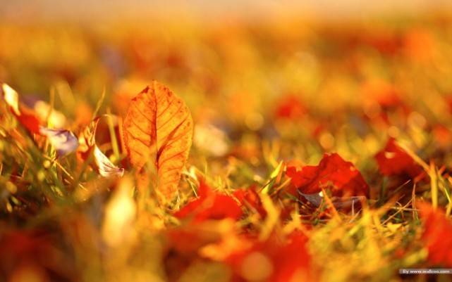 功效|末伏到，医生:高血糖人群益吃这“三瓜”、“三果”、“三汤”血糖绕道走