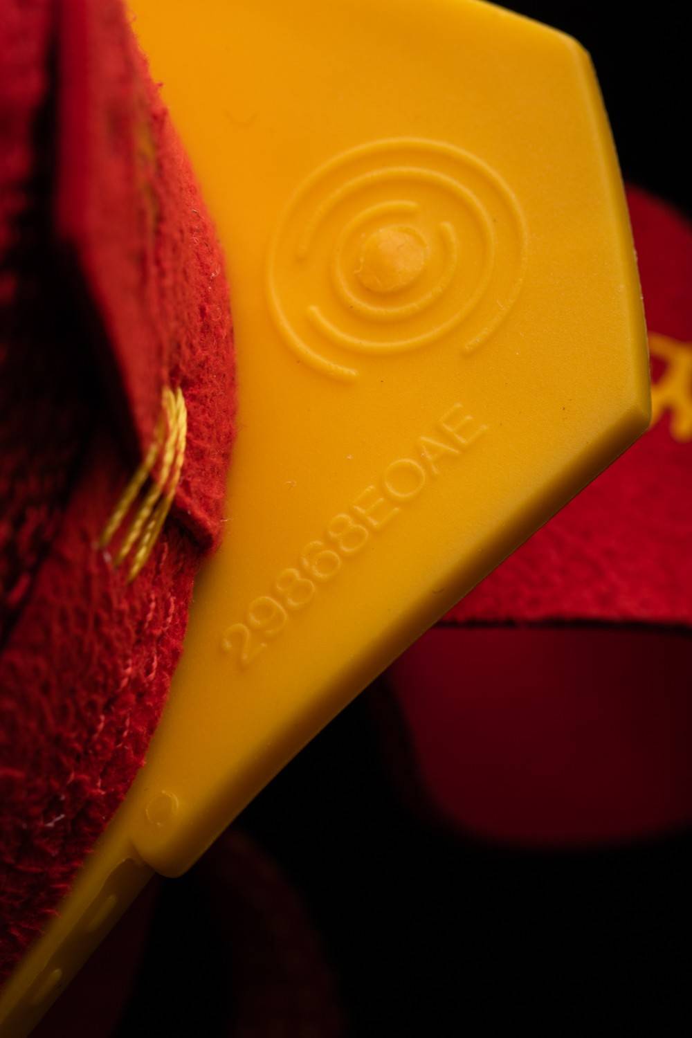 设计|AJ36 绝地反转！只加一个新科技，又甩开所有实战鞋一大截…