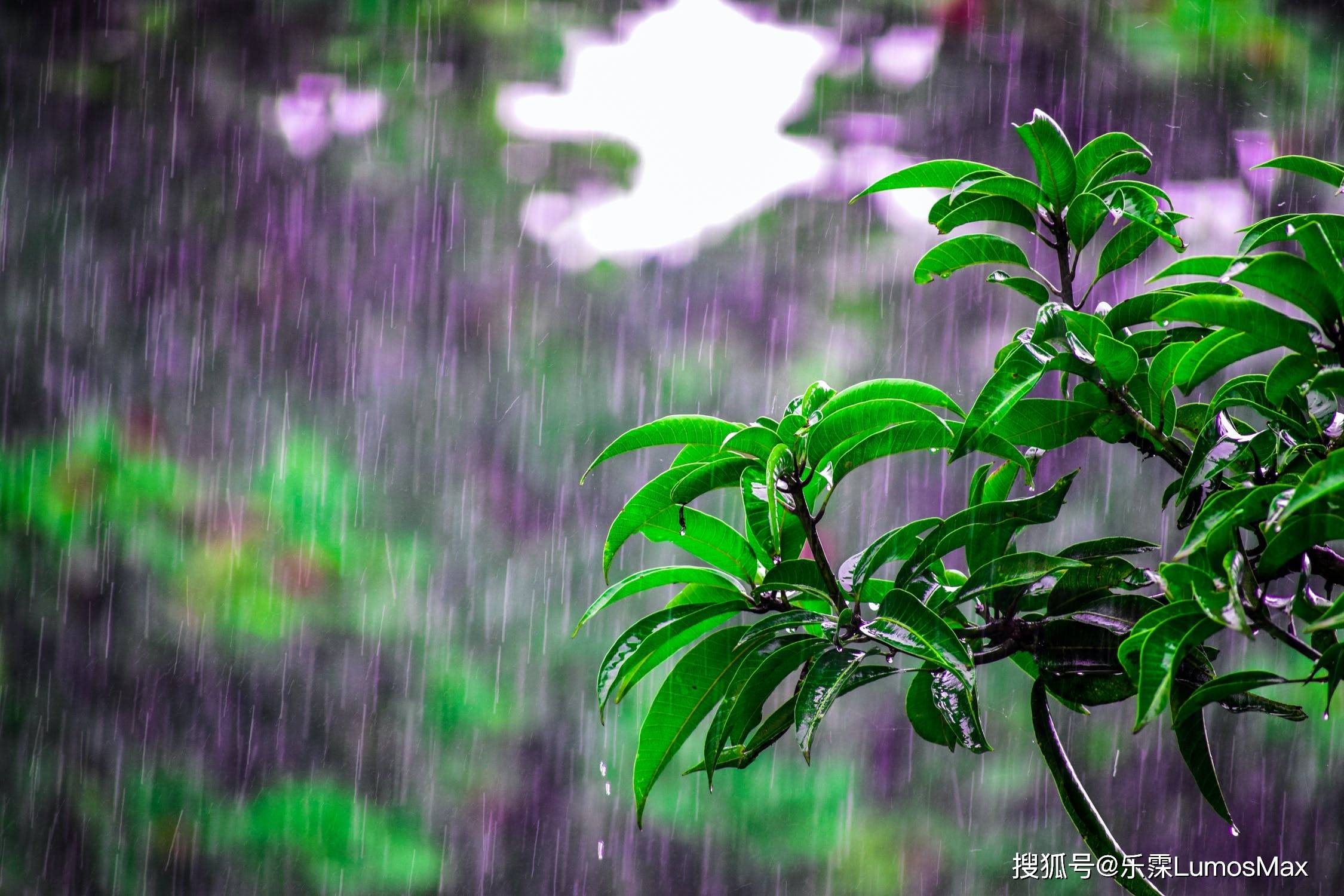 头皮|雨天连连，小心这绵绵细雨毁了你的头发！