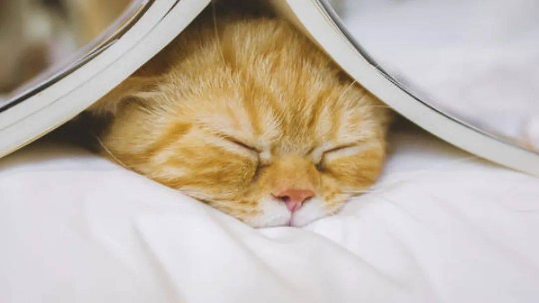 睡眠|经常上夜班的人一定要注意了