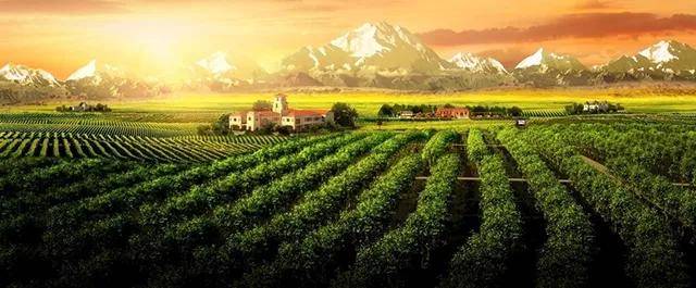 张裕摩|观万亩葡萄长廊,赏贺兰山下酒庄!