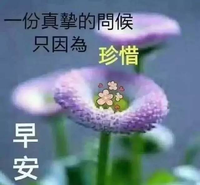 9张特别好看的早上好免打字图片带祝福语 2021秋日温馨的早上好问候语