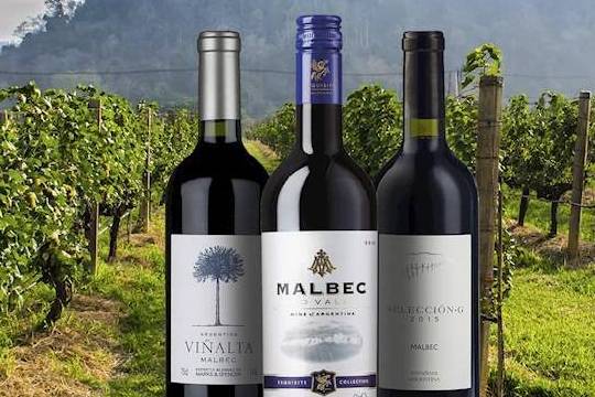 马黛茶|足球地理学堂：阿根廷的门多萨，葡萄酒之乡亦是英雄之城