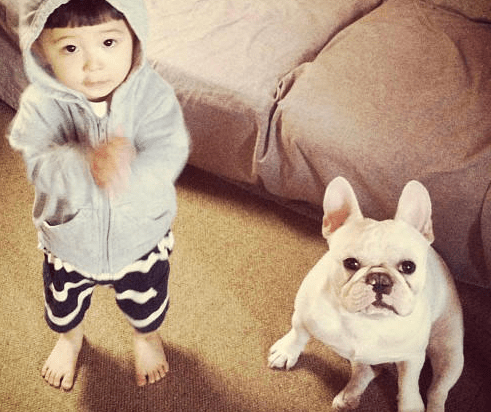 聖誕節給柴犬准備襪子, 等到狗子醒來表情驚訝 萌趣萌寵 第5张