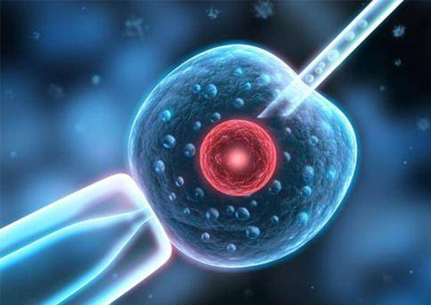 技术|女人一生最多能怀孕多少次，最多能生多少个孩子？