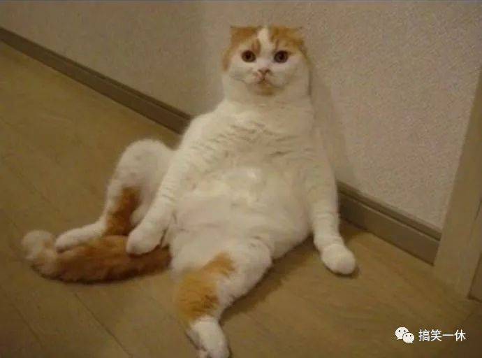 买点|你不理我,我也不理你,你一理我......