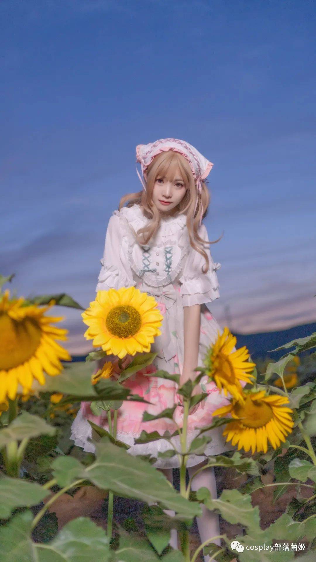 Lolita：我在这里等着你，你回来吗
