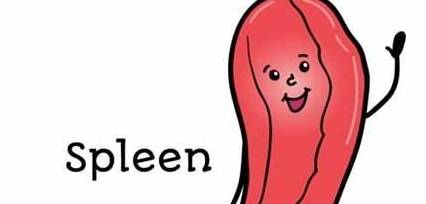 血液|体检出脾肿大,说明有肝硬化?慢性乙肝患者:欲知原因,请看此文