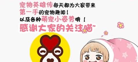 好事|狗狗每天都去店里赊账，把超市当成自己家，主人却对着账单发愁！