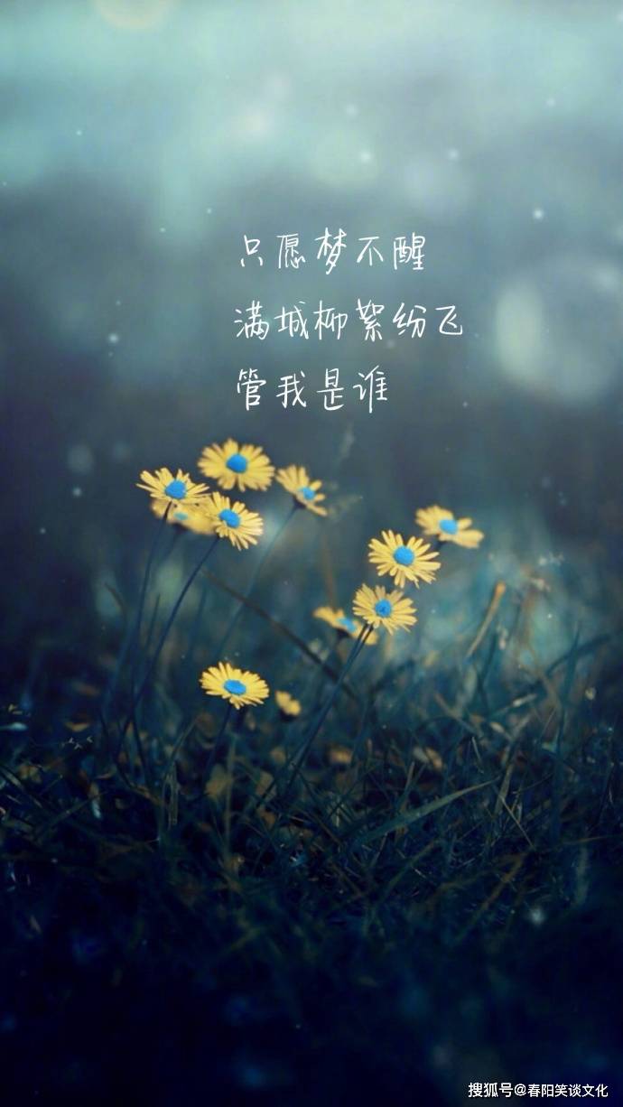 深夜睡不着心烦的说说,句句心酸无奈,有没有一句说中你的心事