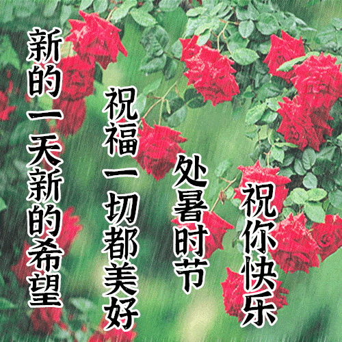 原创8月23日处暑最漂亮早上好动态表情图片大全,早晨好动图美图大全