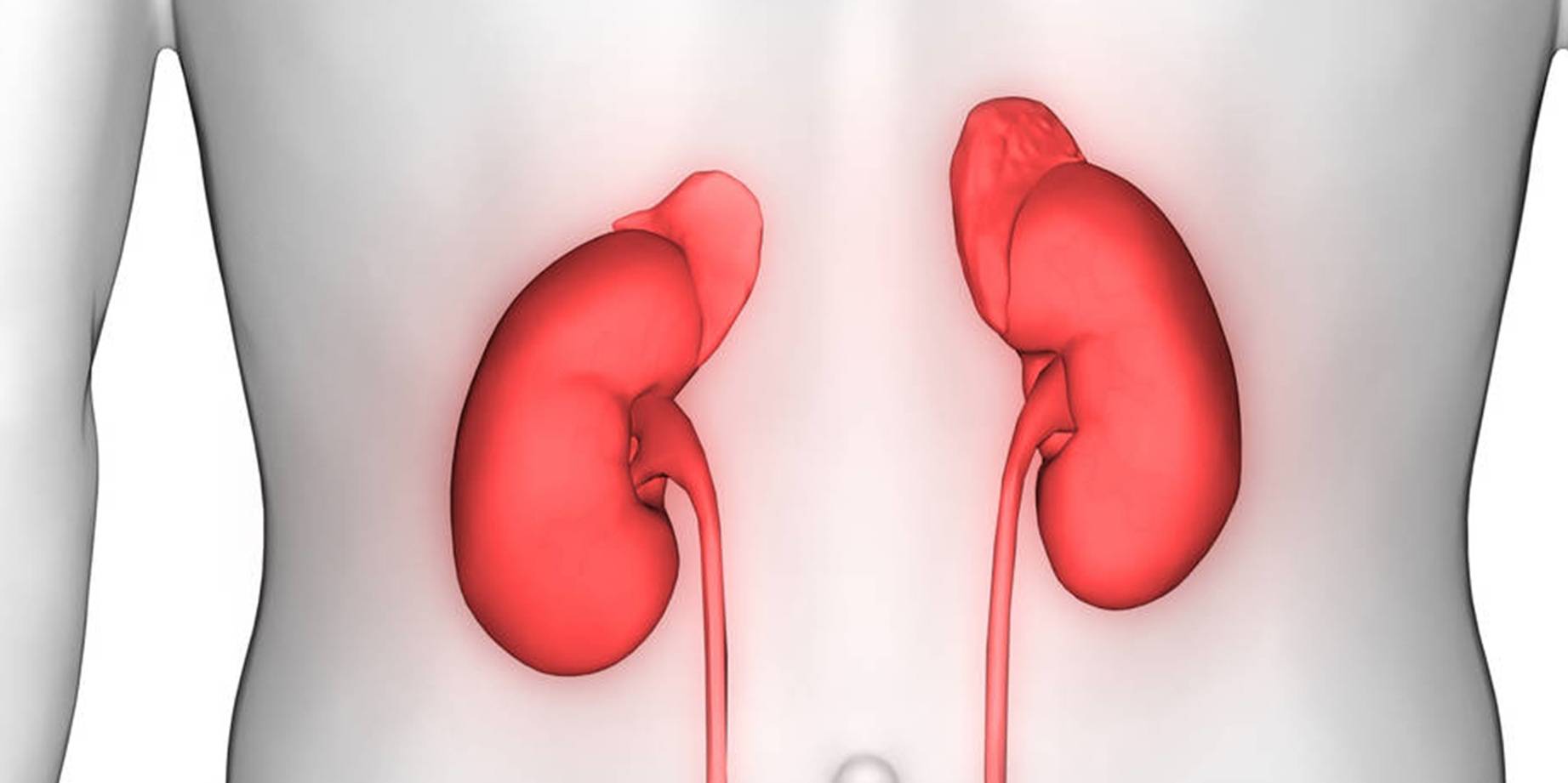 治疗|体检查出肾囊肿怎么办？别慌，3个治疗方法，让肾慢慢好起来