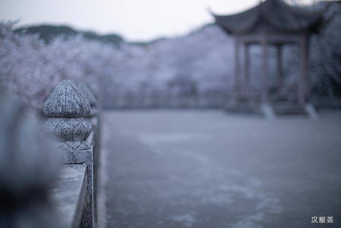 春风|男人们爱秋天还是爱秋天里穿汉服的美女?