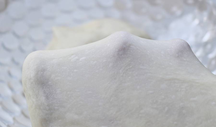 面包|风靡烘焙圈的日式牛奶卷,一次做两盘,开学早餐不愁了