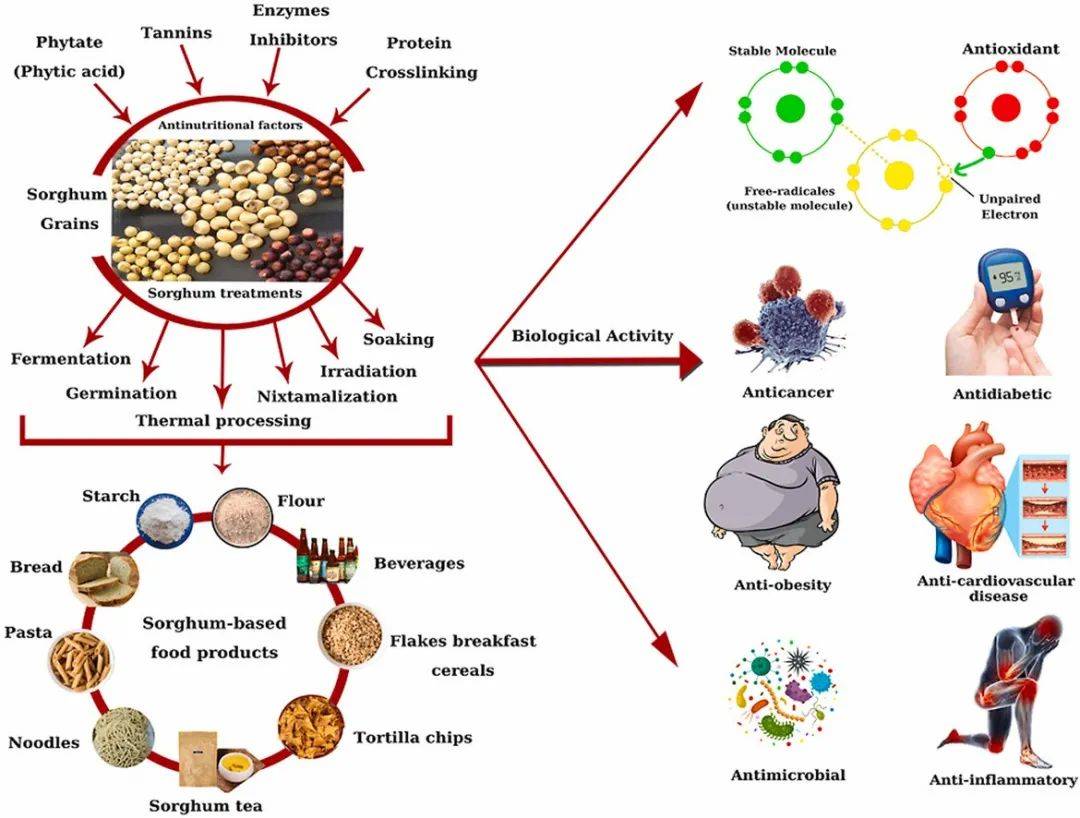 原料|没想到!支撑万亿白酒的高粱,竟进军零食赛道抢生意?