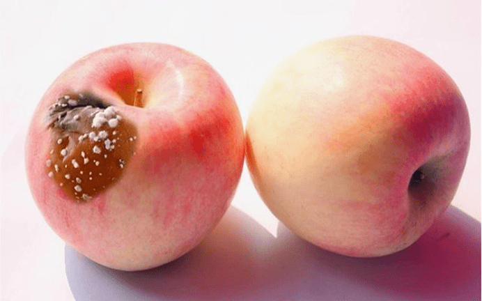 进行|?男性晨起有3种异常，肝脏或已“硬如石头”，占一个也要注意，尽早养护肝脏