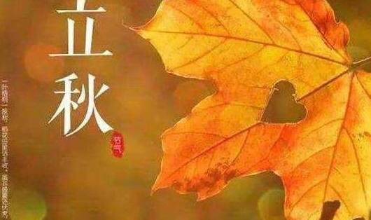 4fb4906c70e04bf1893cab93363cc2eb.jpeg