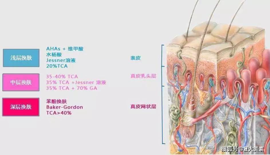 氧化|复大美素：烟酰胺、传明酸、VC……美白成分大起底，一文读懂肌肤变白奥秘!