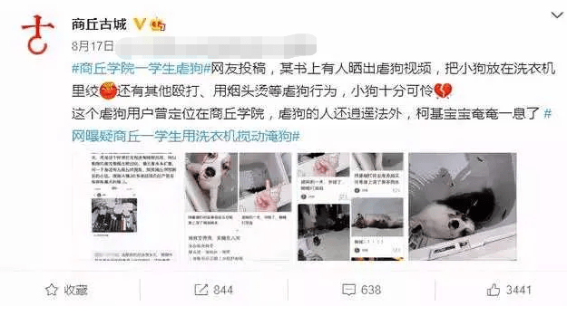 生命|情侣搬家将宠物狗遗弃出租屋十几天，致其浑身生蛆！多位明星发声