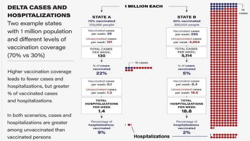 疫苗|美国现存多少变种新冠病毒？疫苗有效性8月最新数据，看这里！