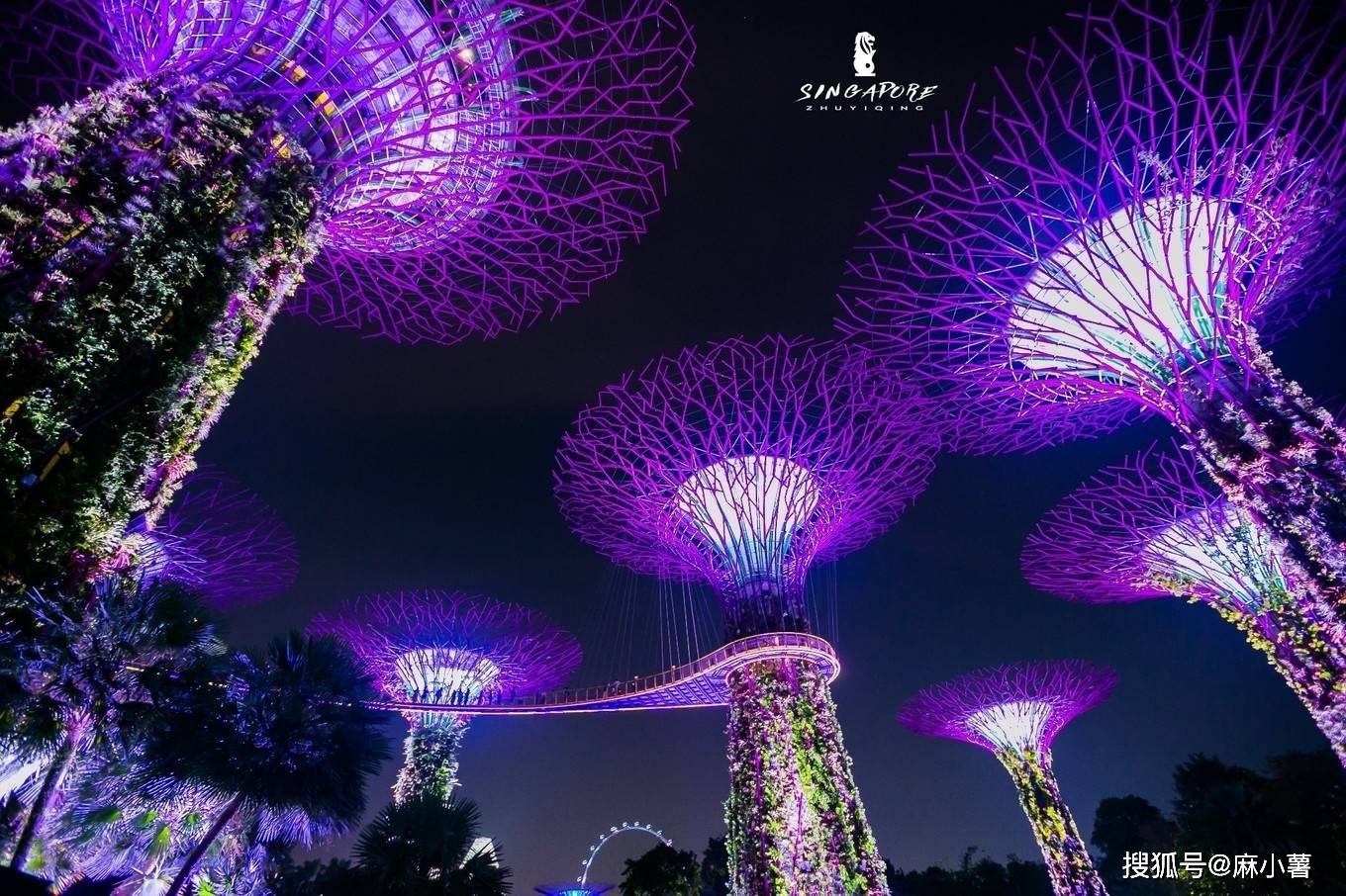 新加坡最美夜景秀，在造价10亿的超级花园中听百老汇，却免费开放