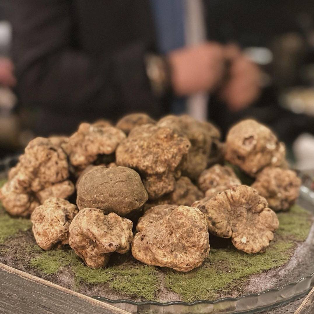 旱地中也有宝贝沙漠白松露