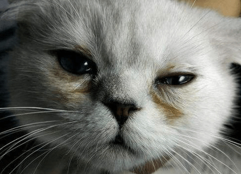 2c3d70fb20134ae6835a63530ae4a05c.png