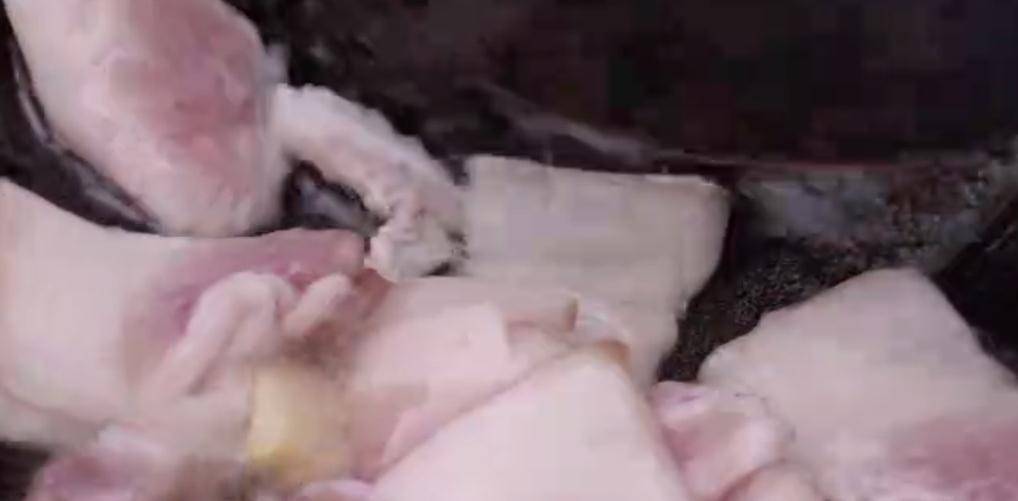 姜片|鸡蛋也可以这样吃,营养的快手早餐荷包蛋炒尖椒 焦嫩又下饭