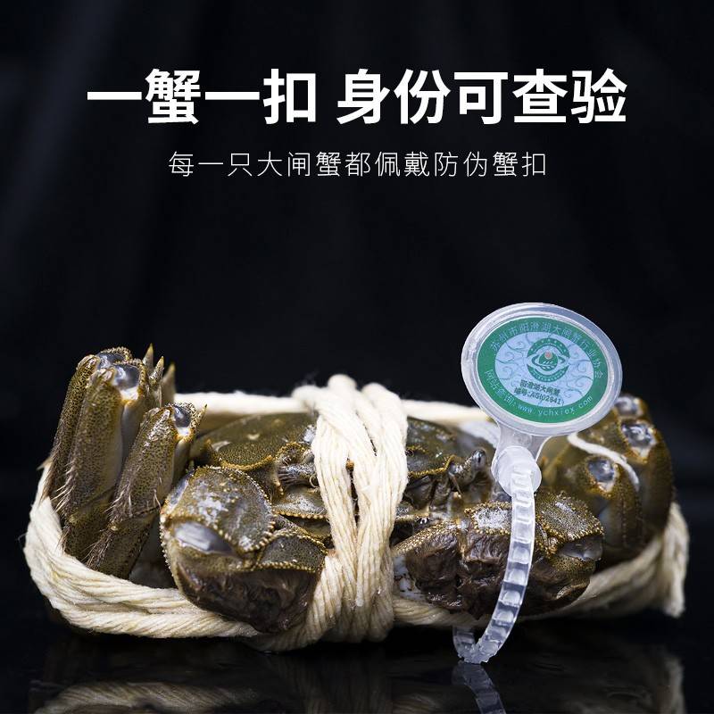 膏香肉嫩丰腴鲜甜家乐福中秋精选各地成蟹陆续上新