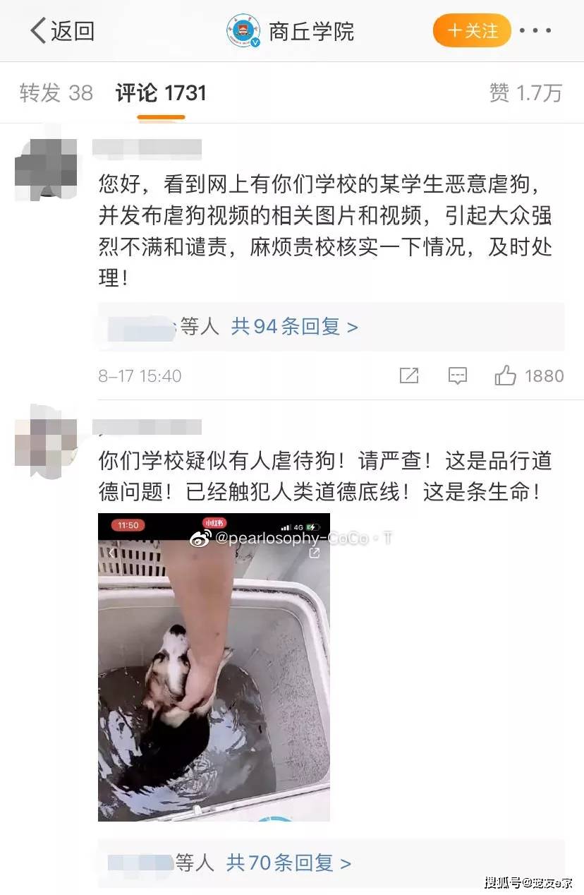 事件|“洗衣机柯基事件”，再一次凝视人性的深渊