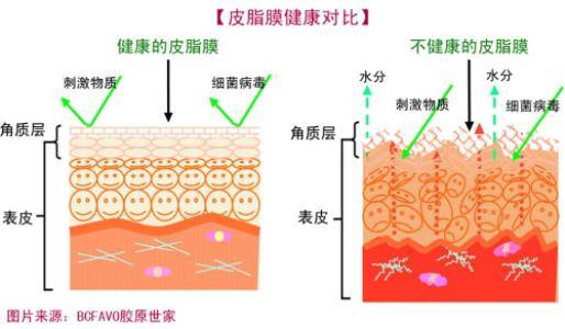 因为|外油内干是不是营销噱头？