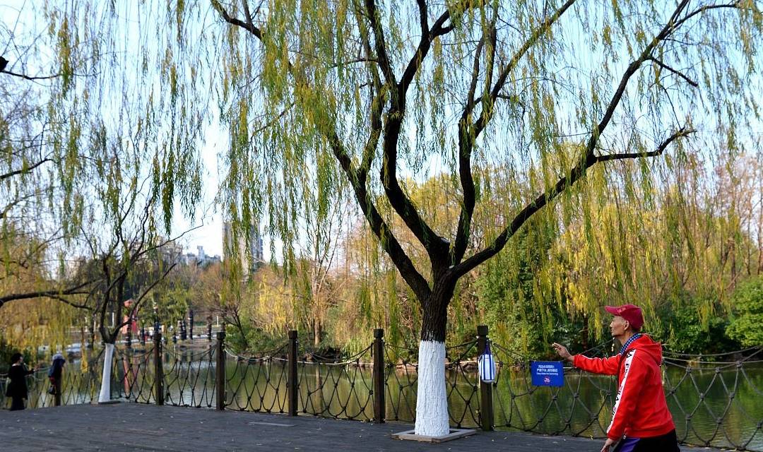 血液|血糖超标,“脚”知道!脚部若没有出现4异常,祝贺,血糖很稳定