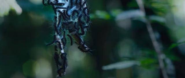 费振翔|特效新奇、动作戏多，这部暑假档令人期待的狠剧，终于要播了？