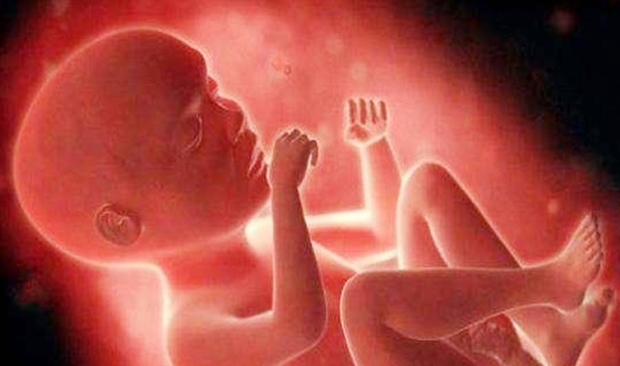 子宫|孕妇喝水要选对时间段，这4个时间补水，会让羊水更干净！