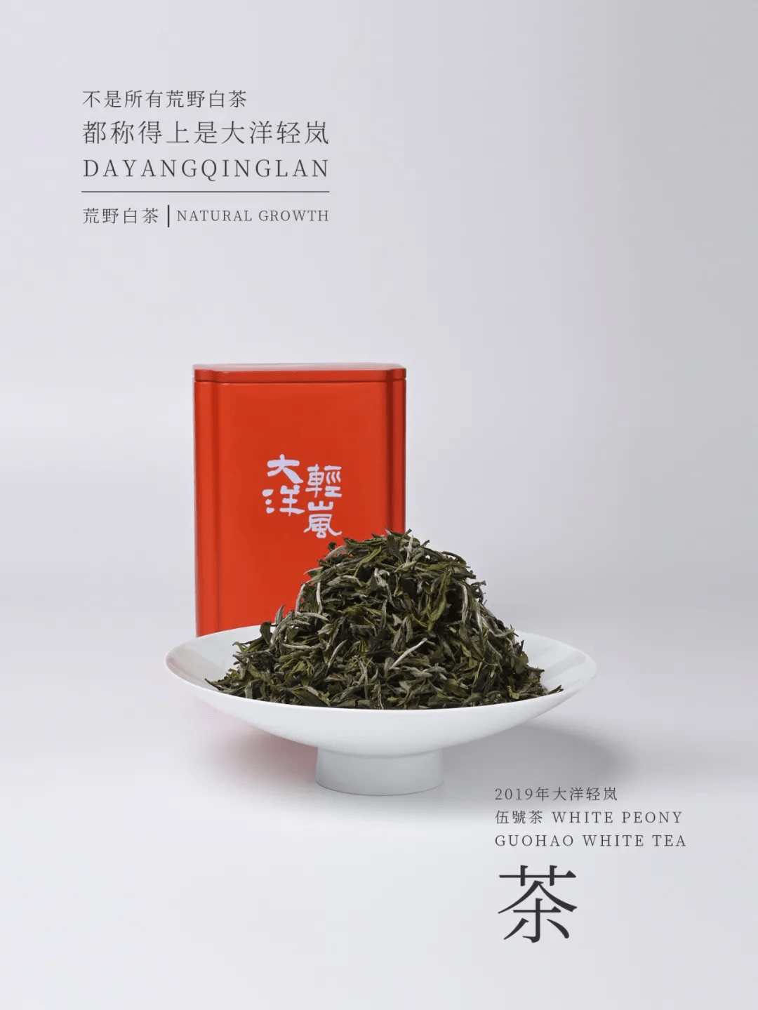 国号|中秋福利:大洋轻岚超值大礼盒