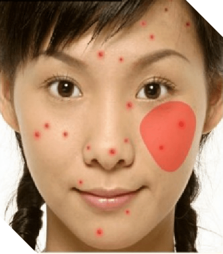 下巴|秋秋老师--