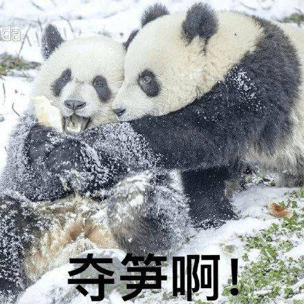 怎么能搞点钱啊 e0819f4e5f274d18a07d3317ff200529.jpeg