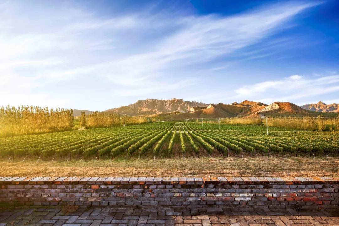 公众|参观预约程序怎么制作——酒庄参观预约公众号操作指南