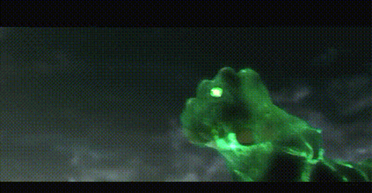 绿灯侠什么意思 244bfd90ea414fd8b279e90bbd14d842.jpeg