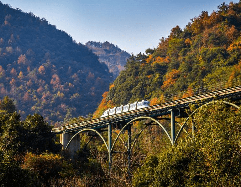 好消息！宁波市民可以免费参观溪口雪窦山，本月开始期限为39天