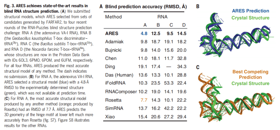 模型|深度学习精确预测RNA，仅需训练18种已知结构：研究登上Science封面