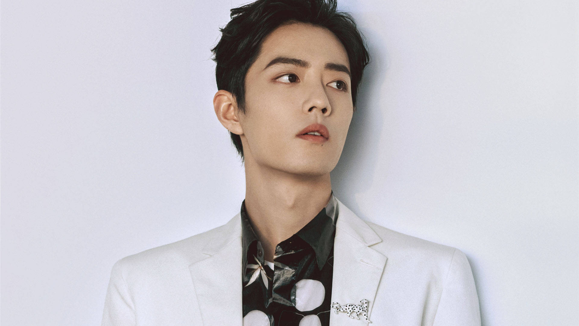 官宣|继《余生请多指教》后，网传肖战又一新剧定档，粉丝态度却大不同