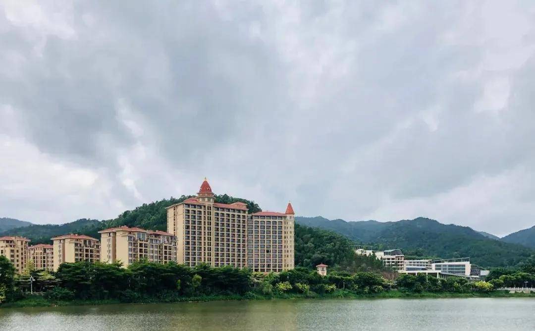 西樵西岸中旅银湾图片