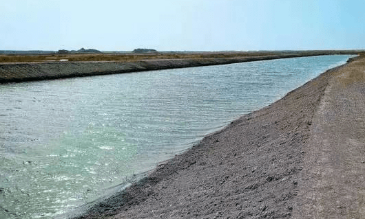 这个湖泊曾经是疏勒河下游的河道湖,由疏勒河和党河生态水下泄和汛期