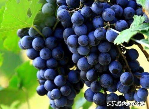 夏天|冰冻后更更好吃的6种食物,榴莲变成“小清新”,图6让人垂涎三尺